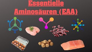 Die 8 essentiellen Aminosäuren EAA’s [upl. by Raskind]