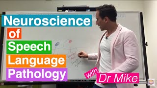 Neuroscience of Speech Language Pathology SLP [upl. by Duky]