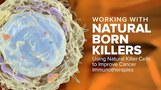 Working with Natural Born Killers Using Natural Killer Cells to Improve Cancer Immunotherapies [upl. by Melliw]