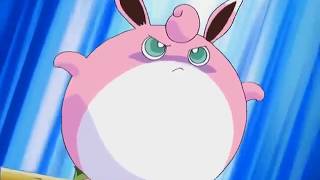 Wigglytuff Inflates [upl. by Dosia]