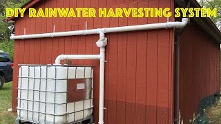 DIY Rainwater Harvesting System [upl. by Luba]