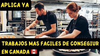 Trabajos en canada que necesitas saber [upl. by Hoopen]