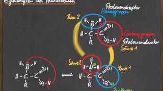 Q 11 Eigenschaften der AS [upl. by Noiraa]