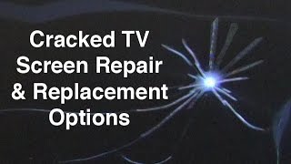 Cracked TV Screen  LCD amp LED TV Panel Repair Options amp Replacement [upl. by Louise]