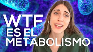 METABOLISMO ¿Qué significa REALMENTE [upl. by Eryn]