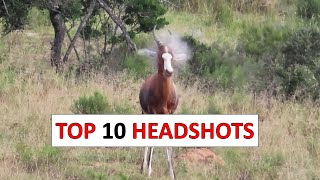 10 Insane Hunting Headshots [upl. by Amory]