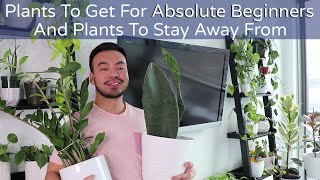 3 Easy Indoor Plants for Absolute Beginners and 3 Difficult Plants to Stay Away From [upl. by Retsbew]