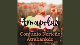 Amapolas [upl. by Prent]