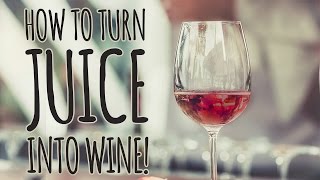 The Easy Way to Make Wine From Store Bought Juice 🍷 [upl. by Aeel741]