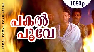 Pakal Poove Pozhiyathe  1080p  Chronic Bachelor  Lalu Alex  Sabitha Anand Mohan Ayiroor  Biyon [upl. by Tadich]