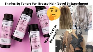 Shades Eq Toners for Brassy Hair Level 9 Experiment [upl. by Enad]