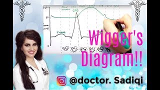 Wiggers Diagram EXPLAINED WITHIN 3 MINUTES [upl. by Nylirak]