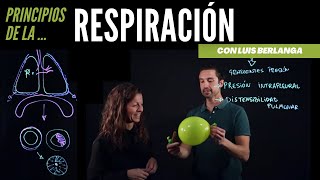 Ventilación pulmonar principios básicos de la respiración [upl. by Massarelli]