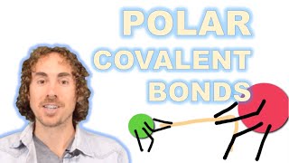 Polar Covalent Bonds [upl. by Gauldin302]