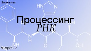 ПРОЦЕССИНГ РНК  Биохимия [upl. by Assila]