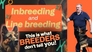 inbreeding and linebreeding explained [upl. by Orion]