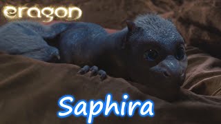 Eragon  Saphira la Dragona 111 quotLatinoquot [upl. by Aiveneg808]