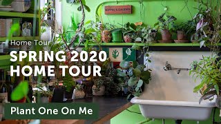 My Houseplant Home Tour Spring 2020 — Ep 169 [upl. by Ellenet]