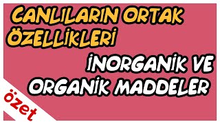 Canlıların Ortak Özellikleri  İnorganik ve Organik Maddeler Özet  TYT Biyoloji [upl. by Stelle]