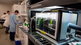 Lab Simulates Outdoor Algae Growth [upl. by Ettedanreb]