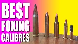 Best foxshooting calibres [upl. by Dworman]