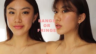 HOW I CUT FRINGE  BANGS  Haley Kim [upl. by Altis229]