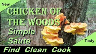 Chicken of the woods cooking Find Clean Cook Simple Saute Laetiporus Sulphureus identification [upl. by Ocramed994]