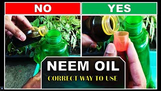 Neem oil for plants how to use [upl. by Azarria]