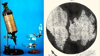 How Robert Hooke Discovered The Cell [upl. by Ajax]