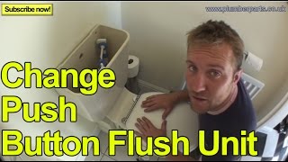 HOW TO CHANGE A PUSH BUTTON FLUSH UNIT  Plumbing Tips [upl. by Henning]