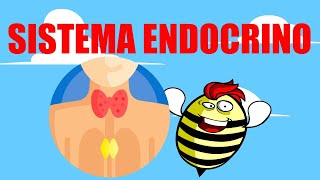 🟥SISTEMA ENDOCRINO 💚EXPLICADO FÁCIL🧠GLÁNDULAS Y HORMONAS🟥 [upl. by Tabatha498]