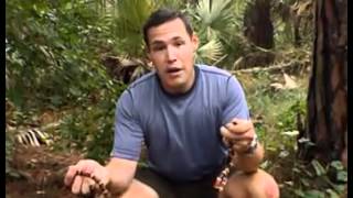 The Jeff Corwin Experience Florida Part 3 [upl. by Yednarb60]