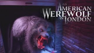 American Werewolf in London COLOR Halloween Horror Nights 2014 Universal Studios Hollywood [upl. by Kaye]