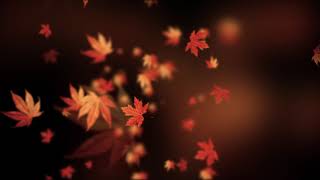 Autumn spinning backgrounds  loopable animation [upl. by Eilac]