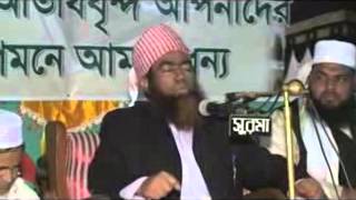 Maulana Jubaer Ahmed Ansari Bangla waz 2014 [upl. by Ifen]