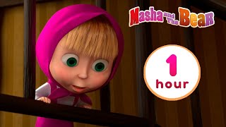 Masha and the Bear 💥🎬 NEW EPISODE 🎬💥 Best cartoon collection 🤪 Kidding Around [upl. by Virge]