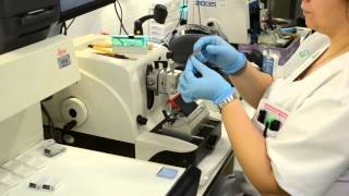 AIDPATH  HISTOLOGICAL TISSUE SAMPLE PREPARATION [upl. by Ahsahs]