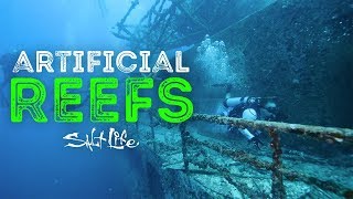 What are Artificial Reefs  Salt Life [upl. by Serilda]