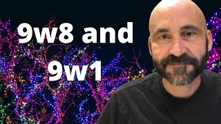 Enneagram The Difference Between 9w8 and 9w1 [upl. by Noirb172]