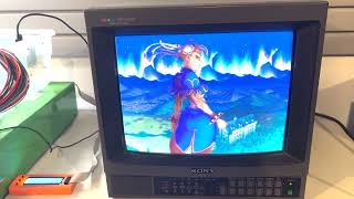 Sony PVM1342Q [upl. by Nelaf]