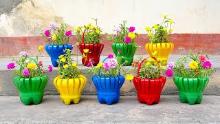 Make Beautiful Flower Baskets From Discarded Plastic Bottles  How to Grow portulaca [upl. by Wendi32]