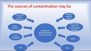 SOURCES OF CONTAMINATION IN FOOD [upl. by Nhguavoj387]