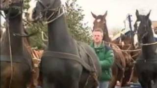 Paardenreddingboot Ameland  clip [upl. by Nerhe]