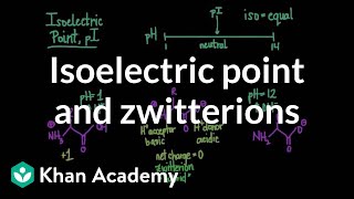 Isoelectric point and zwitterions  Chemical processes  MCAT  Khan Academy [upl. by Seabrooke]