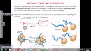 Chromatin remodeling [upl. by Blank]