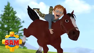 Brandweerman Sam  Wilde Paarden Rennen  Nieuwe Afleveringen  Kinderfilms [upl. by Kaliski]