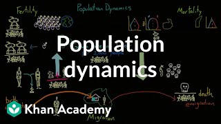 Population dynamics  Society and Culture  MCAT  Khan Academy [upl. by Rakso]