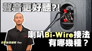 喇叭BiWire接法有哪幾種？各有什麼優缺點？ [upl. by Yerg]