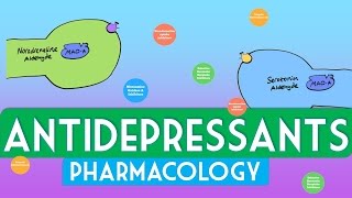 Antidepressants Pharmacology  Soton Brain Hub [upl. by Shalne]