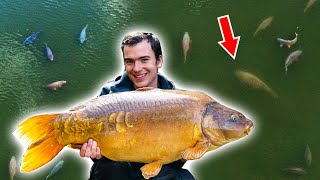 Fishing At My Dream Lake  Carl vs Alex Ep1 S2 [upl. by Raffaello442]